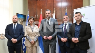 Saradnja BiH i BNV